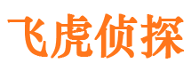 浮梁侦探调查公司